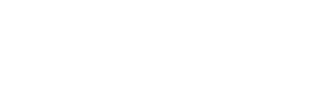 101 TRAIN